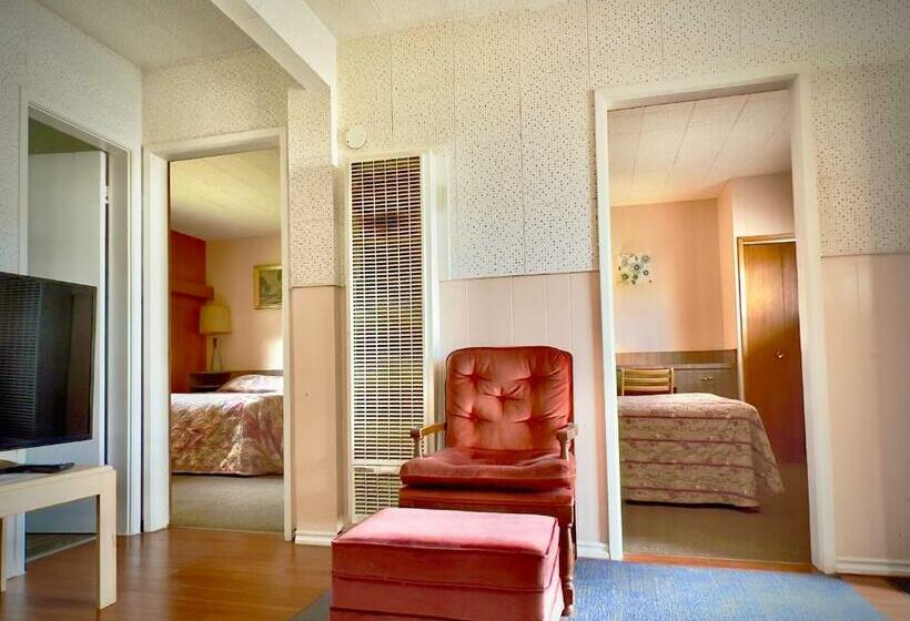 דירת שני חדרים, Airport Inn