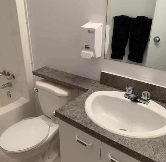 Четырехместный Номер Deluxe, Auberge Motel Panorama