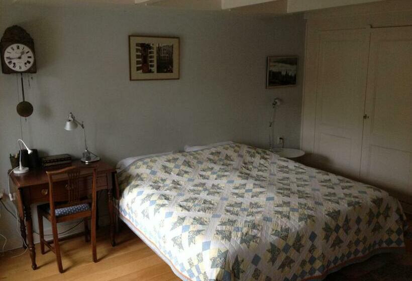 اتاق استاندارد, Vondelparkmuseum Inn