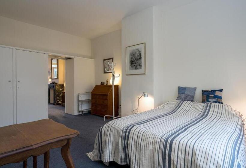 آپارتمان لوکس 1 خوابه, Vondelparkmuseum Inn