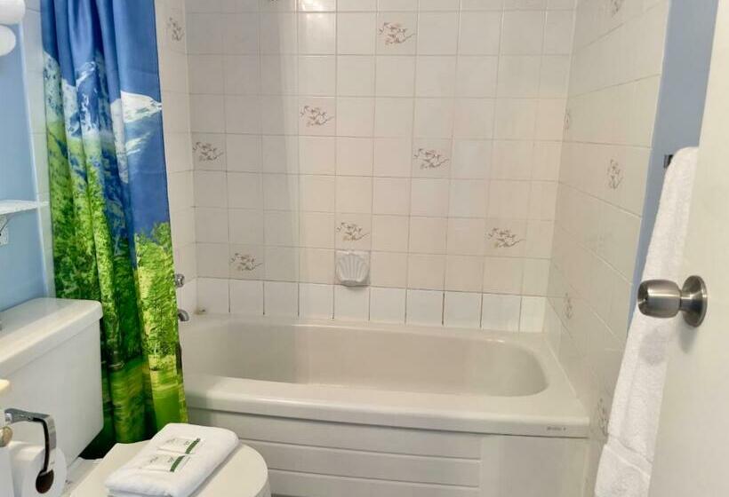 חדר סטנדרט שתי מיטות זוגיות, Departure Bay Motel