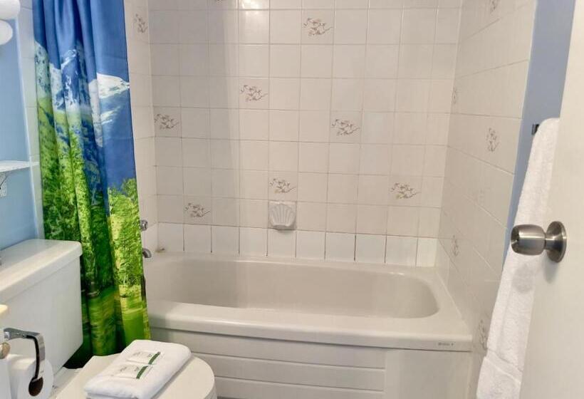 חדר סטנדרט, Departure Bay Motel