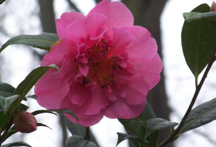 חדר משפחתי, Du Port