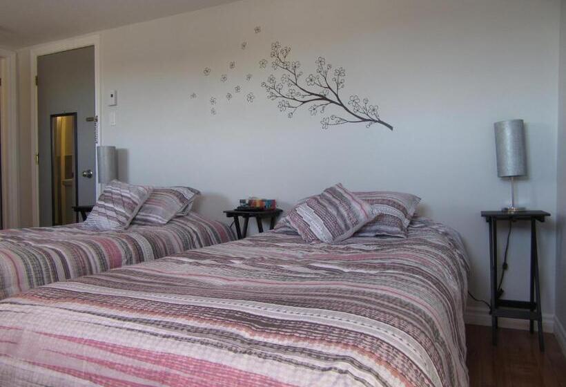 Номер Стандарт, Hostellerie Du Suroît