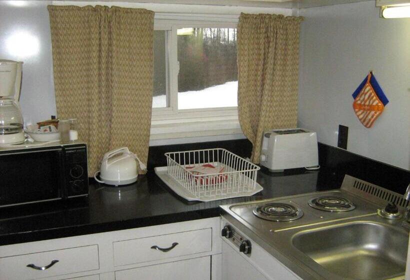 דירת שני חדרים, Airport Inn