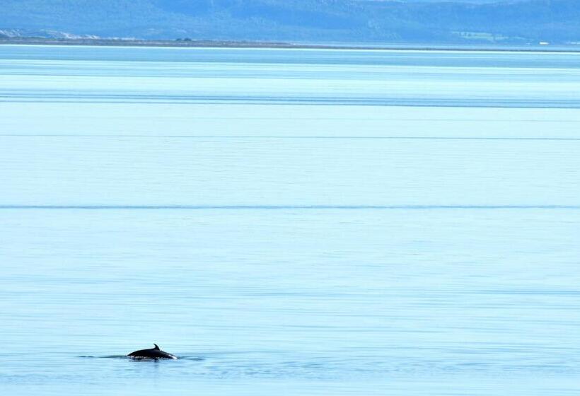 Номер Стандарт Вид на Реку, Motel Et Chalets Bo Fleuve Evangeline