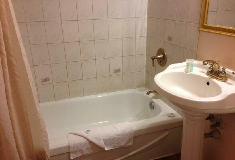 غرفة قياسية, Traveller S Inn