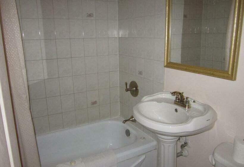 غرفه قياسيه سريرين مزدوجين, Traveller S Inn