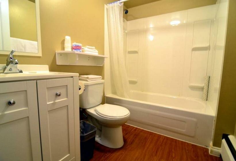 غرفه قياسيه سريرين مزدوجين, Stardust Motel