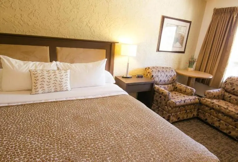 キングサイズベッドのスタンダードルーム, Crystal Springs Lodge