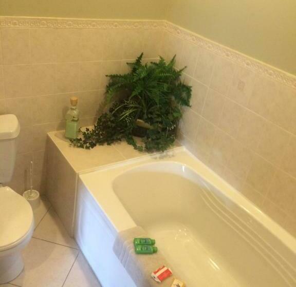 جناح سوبيريور, Dominion