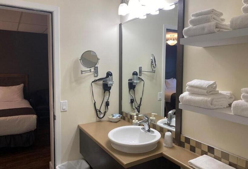 스탠다드 스튜디오, Hôtel Centre Ville