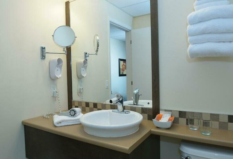 수피리어 룸, Hôtel Centre Ville