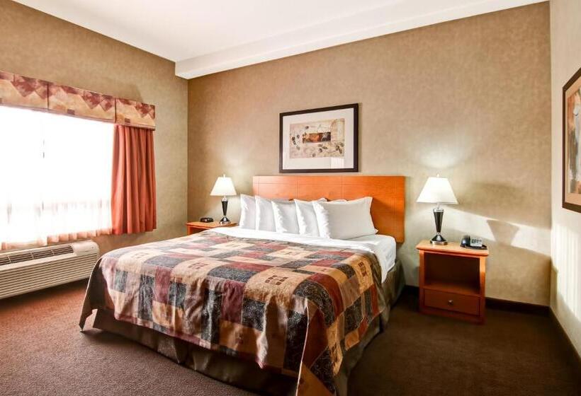 جناح إدارى سرير كينج, Stettler Canalta