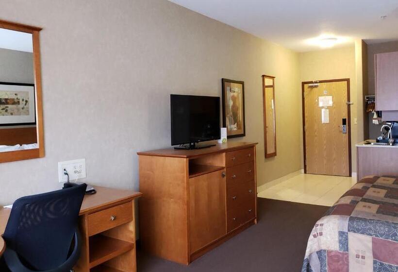 غرفة ديلوكس سرير كينج, Stettler Canalta