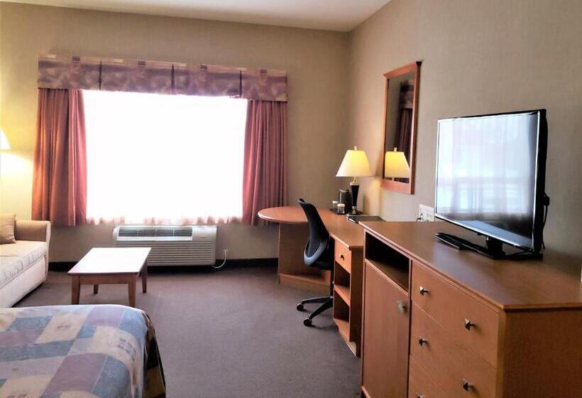 غرفة ديلوكس سرير كينج, Stettler Canalta