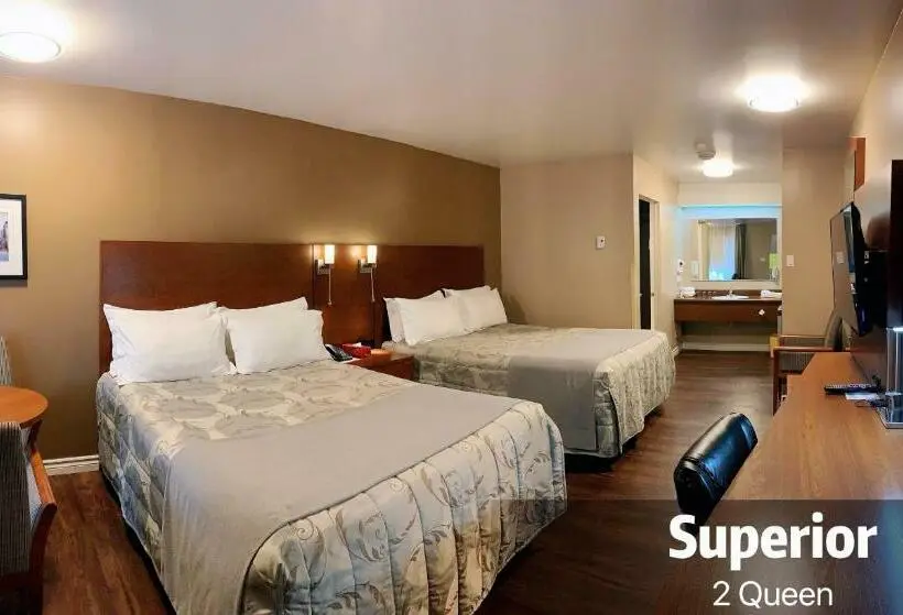 スーペリアールーム, Motel Invitation