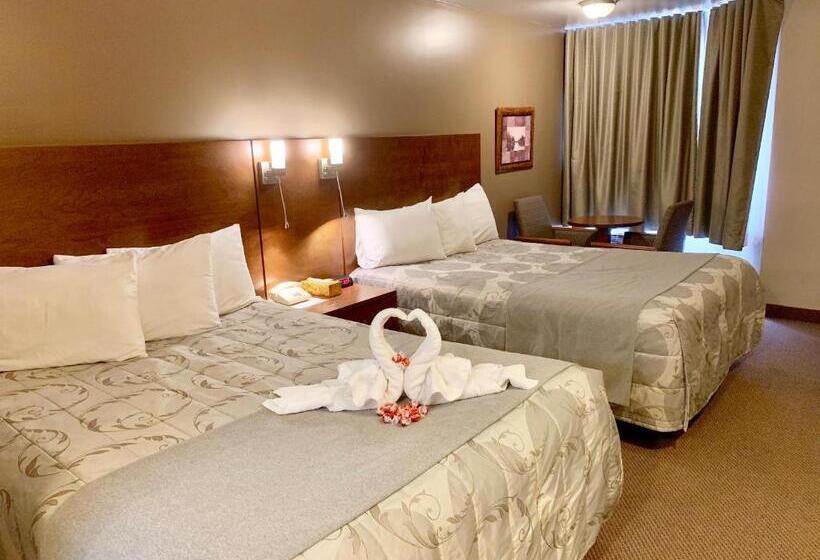 수피리어 룸, Motel Invitation