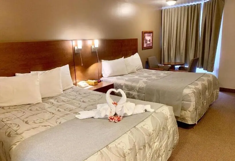 スーペリアールーム, Motel Invitation