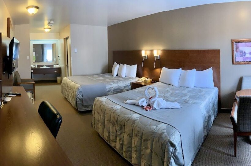 수피리어 룸, Motel Invitation