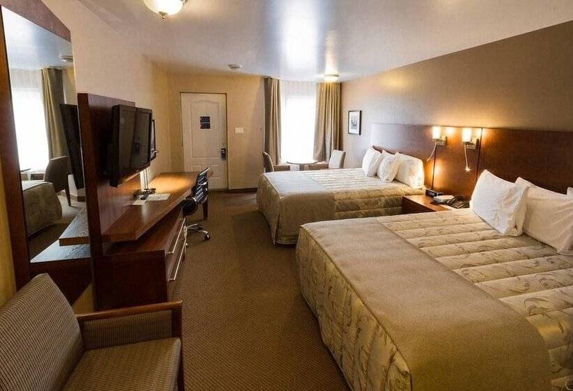 수피리어 룸, Motel Invitation