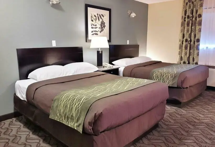 Standard-huone 2 Parivuodetta, Lacombe Motor Inn