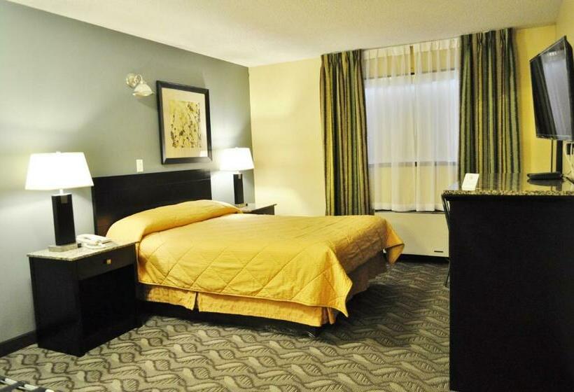 标准间, Lacombe Motor Inn