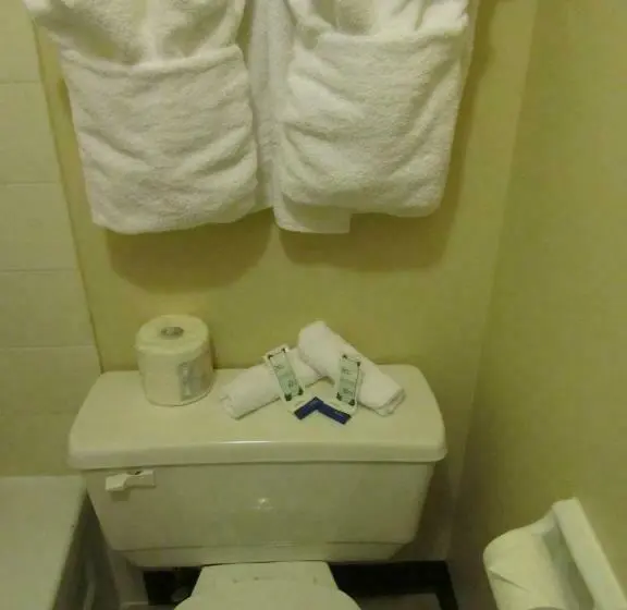 Standard-huone, Lacombe Motor Inn