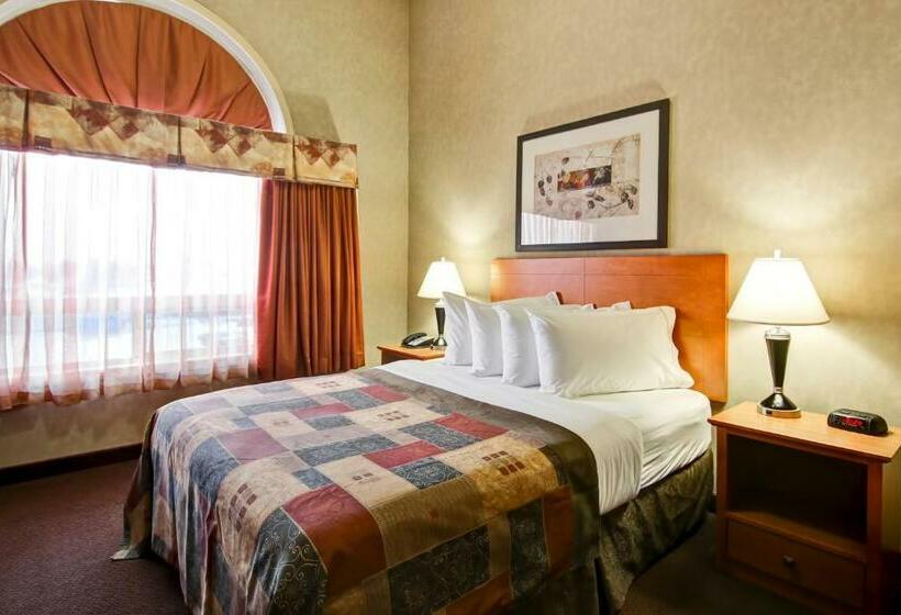 جناح, Stettler Canalta