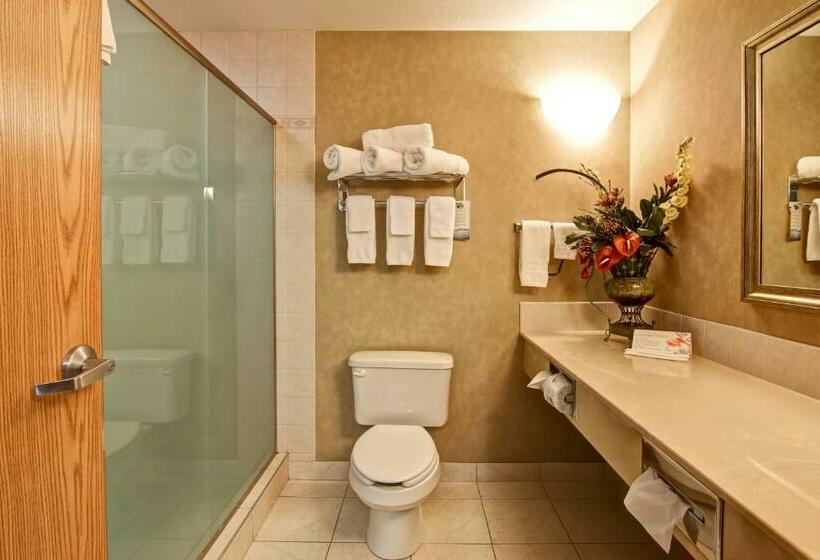 جناح سرير كينج, Stettler Canalta