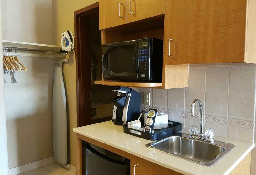 غرفة ديلوكس, Stettler Canalta