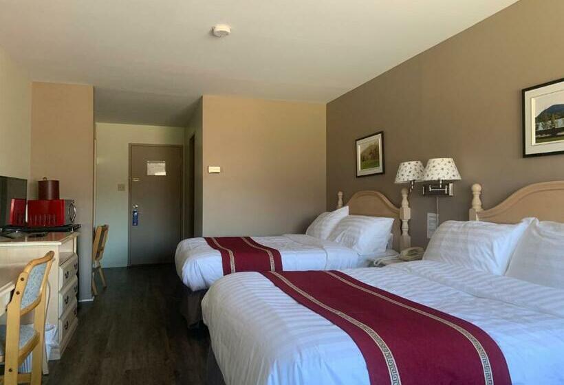 带2个双人床的标准工作室, Transit