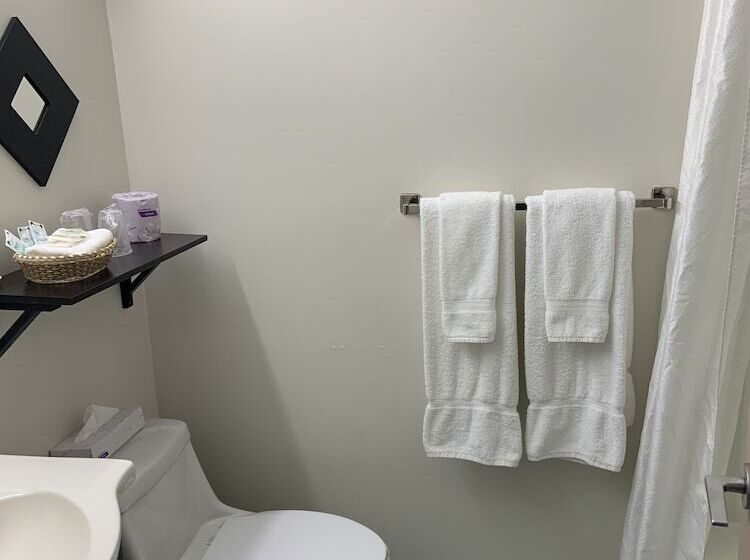 带2个双人床的标准工作室, Transit