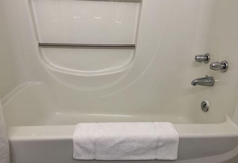 带2个双人床的标准工作室, Transit