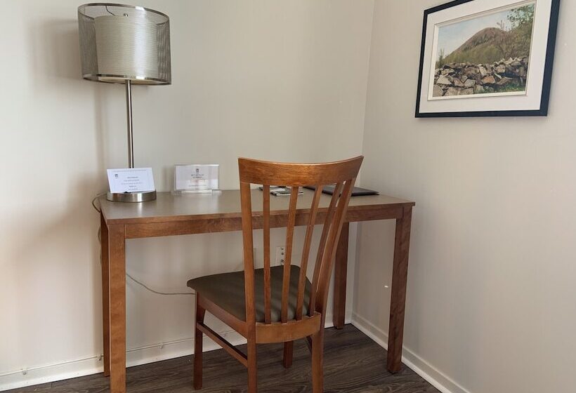 带2个双人床的标准工作室, Transit