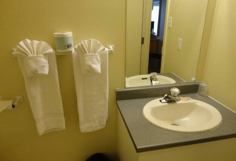 غرفة قياسية سرير كينج, Park Inn Motel