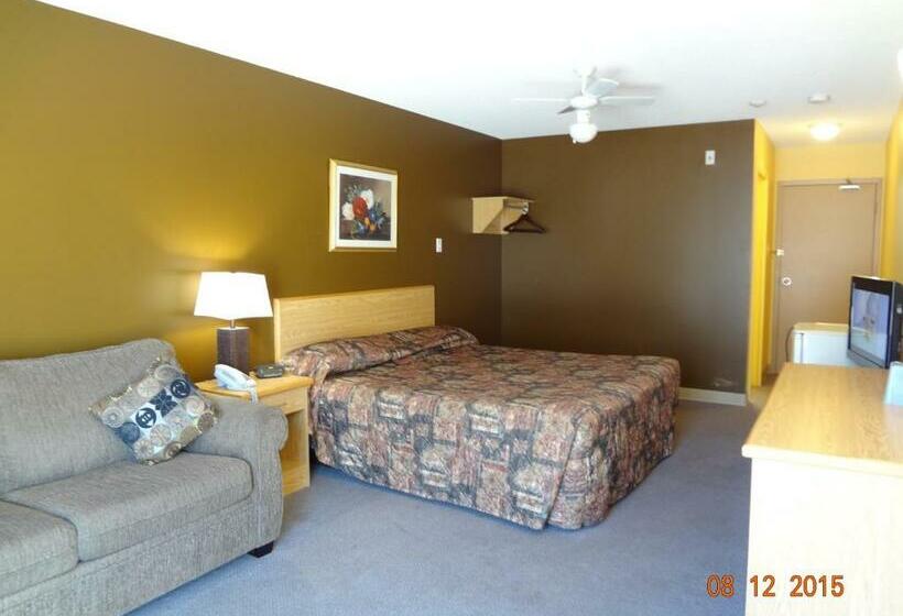 غرفة قياسية سرير كينج, Park Inn Motel