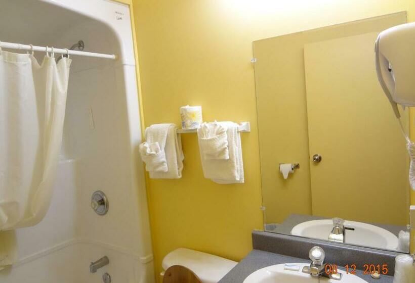 غرفة قياسية, Park Inn Motel