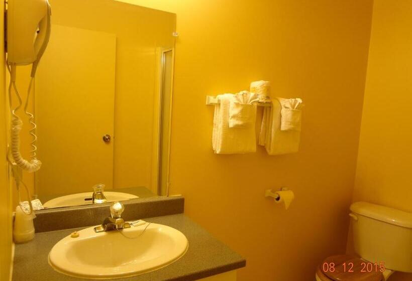 غرفة قياسية سرير كينج, Park Inn Motel