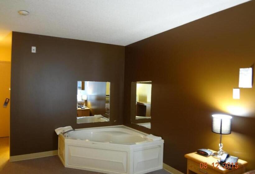 غرفة قياسية سرير كينج, Park Inn Motel