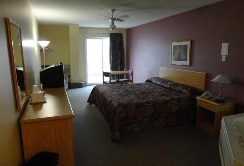 غرفة قياسية سرير كينج, Park Inn Motel