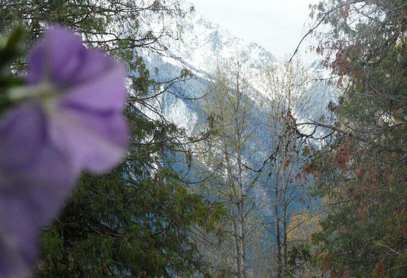 غرفة قياسية سرير كينج, The Hitching Post Motel