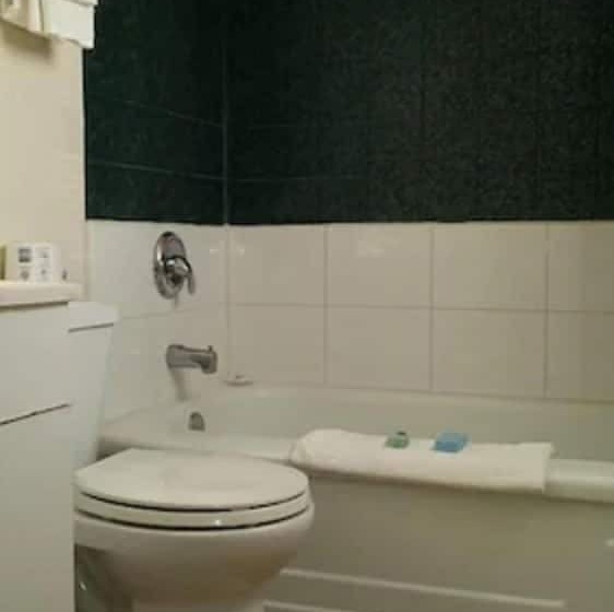 غرفه قياسيه سريرين مزدوجين, Yorke Inn Motel