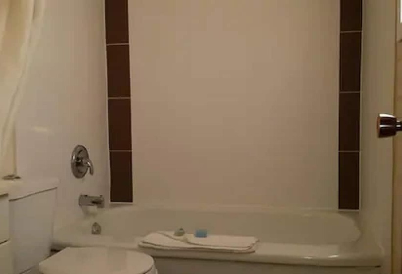 غرفه قياسيه سريرين مزدوجين, Yorke Inn Motel