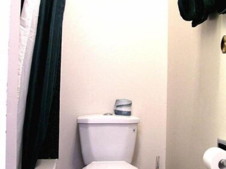 غرفه قياسيه سريرين مزدوجين, Yorke Inn Motel