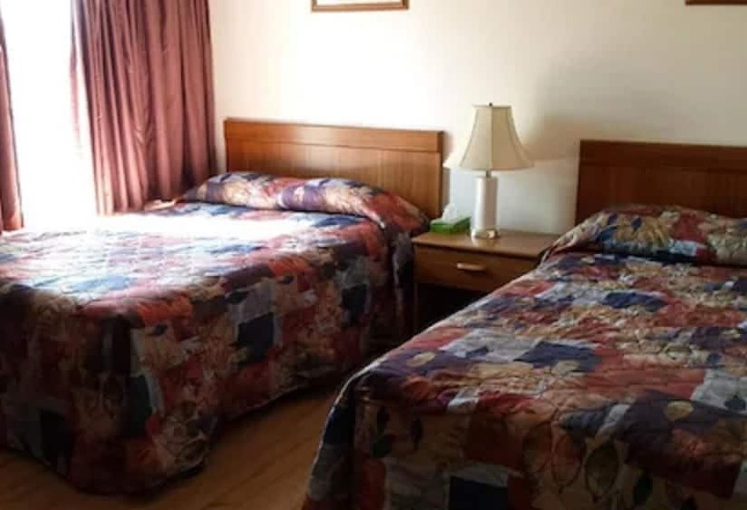 غرفه قياسيه سريرين مزدوجين, Yorke Inn Motel