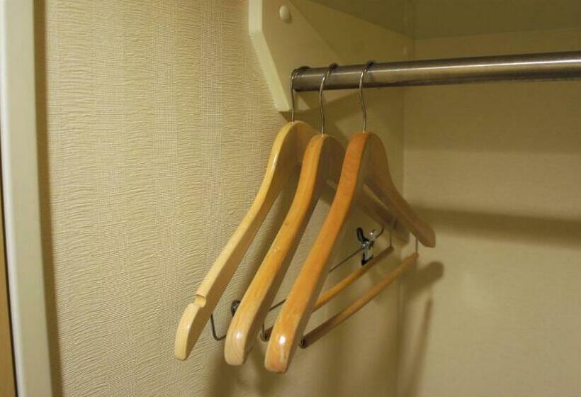 غرفة قياسية, Country Hotel Niigata