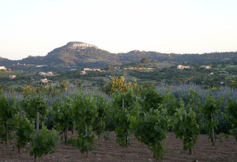 Полулюкс, Son Gener Hotel Spa