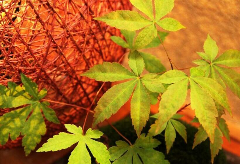 스탠다드 룸 공동 욕실, Hatoguruma Kawabata