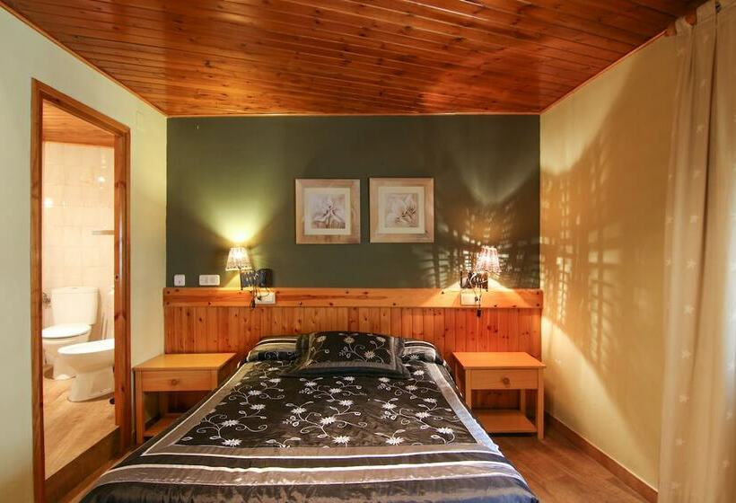 Номер Стандарт, Roch